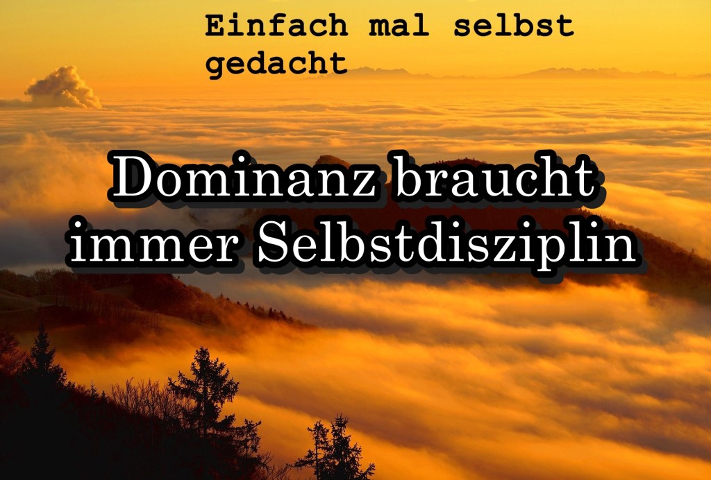 Einfach Mal Selbst Gedacht Einfach Mal Selbst Gedacht von Daira Bär https://einfachmalselbstgedacht.com https://einfachmalselbstgedacht.com/2024/07/23/dominanz-braucht-immer-selbstdisziplin/ BDSM