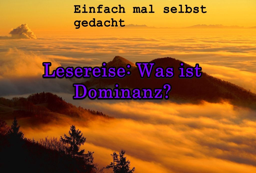 Einfach Mal Selbst Gedacht Einfach Mal Selbst Gedacht von Daira Bär https://einfachmalselbstgedacht.com https://einfachmalselbstgedacht.com/inhalt/themenreisen/lesereise-was-ist-dominanz/